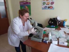 Screening for STD-s