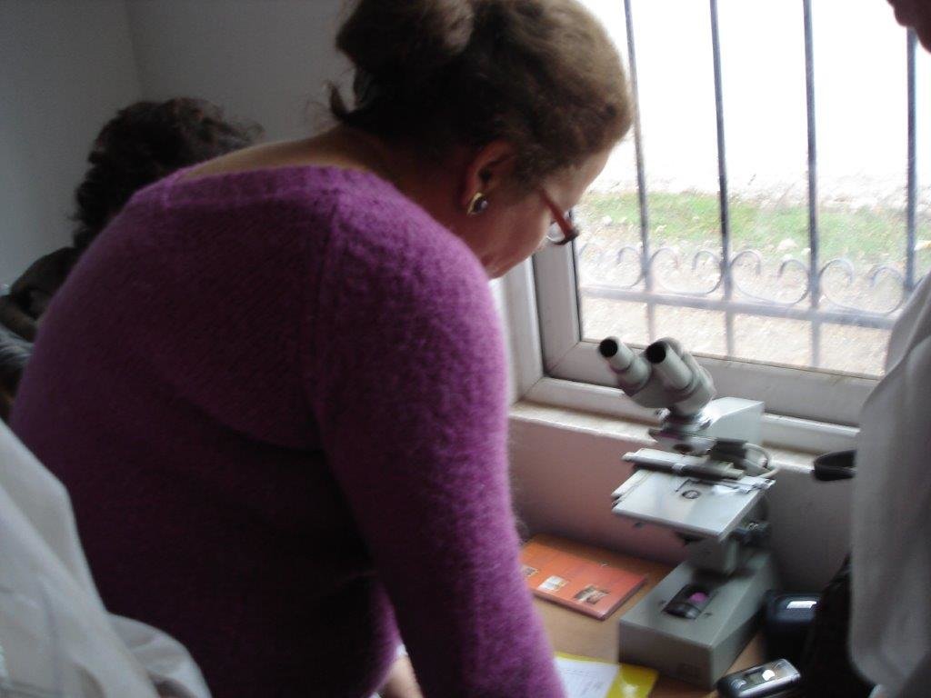 Healthy Women, Healthy families