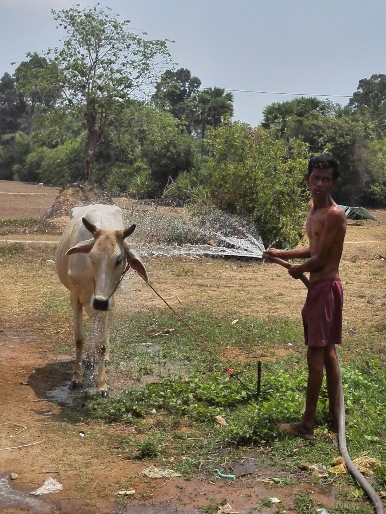 Develop a poor village of 1300 people in Cambodia