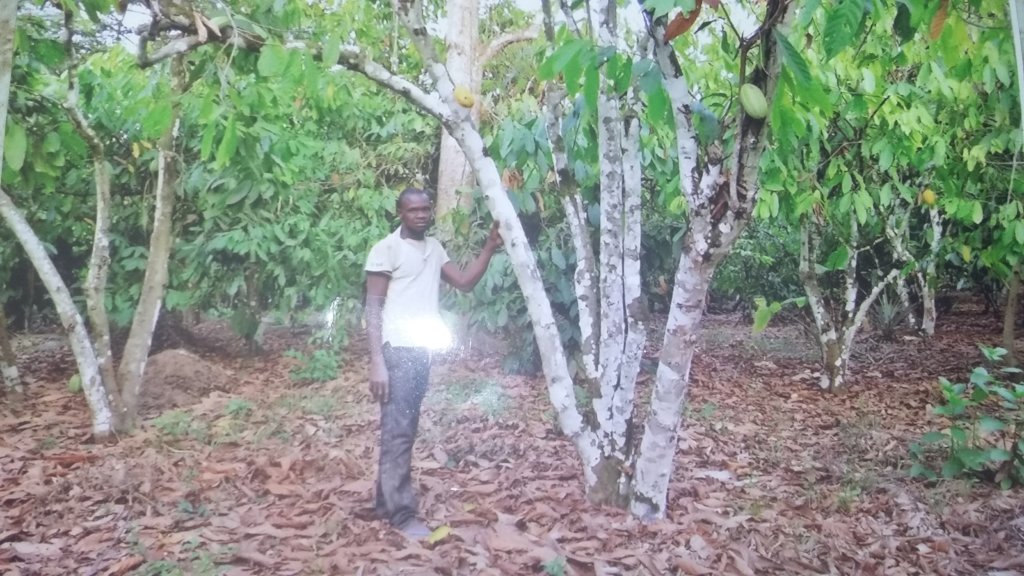 Help 200 Smallholder Farmers Access Fertilizer
