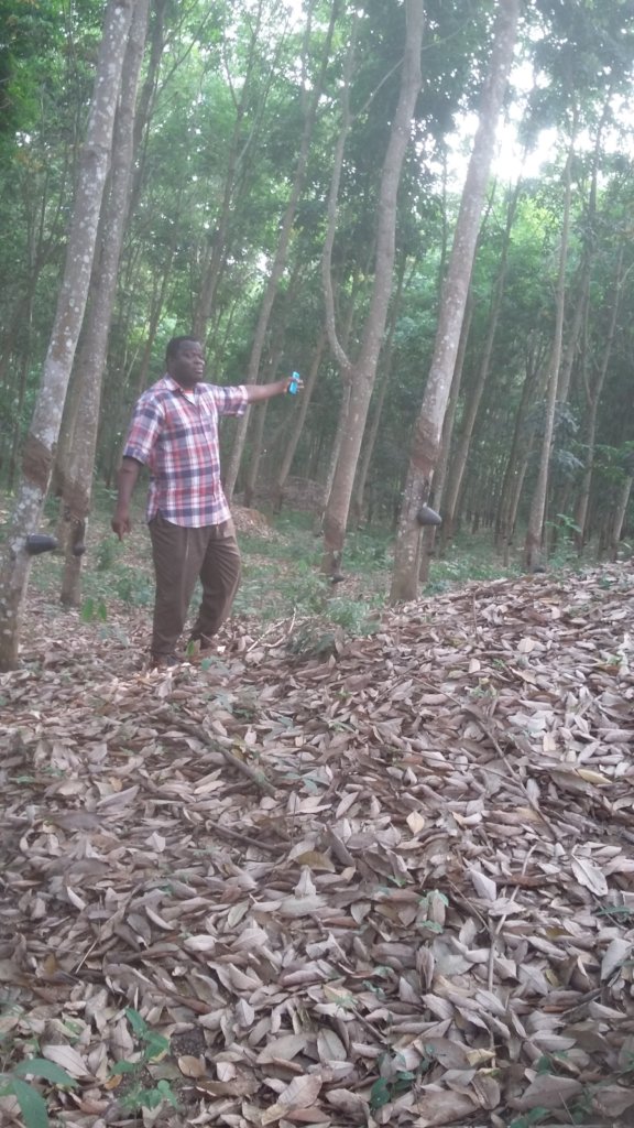 Help 200 Smallholder Farmers Access Fertilizer