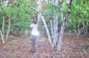 Help 200 Smallholder Farmers Access Fertilizer
