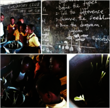 Exploratory club examines plants