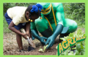 Educate Youth about Agriculture and Food Security