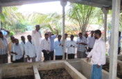 Promote Organic Farming for 15 Villages in India