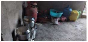 Living Condition