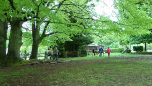 Therapeutic countryside