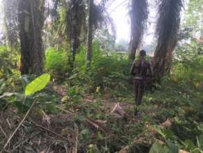 Wellness land  angel from proposed hospital