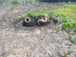 We will keep some trees and nature
