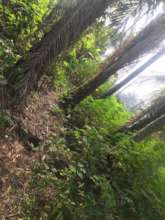 Wellness land