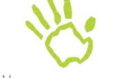 Children's Health Wellness Center