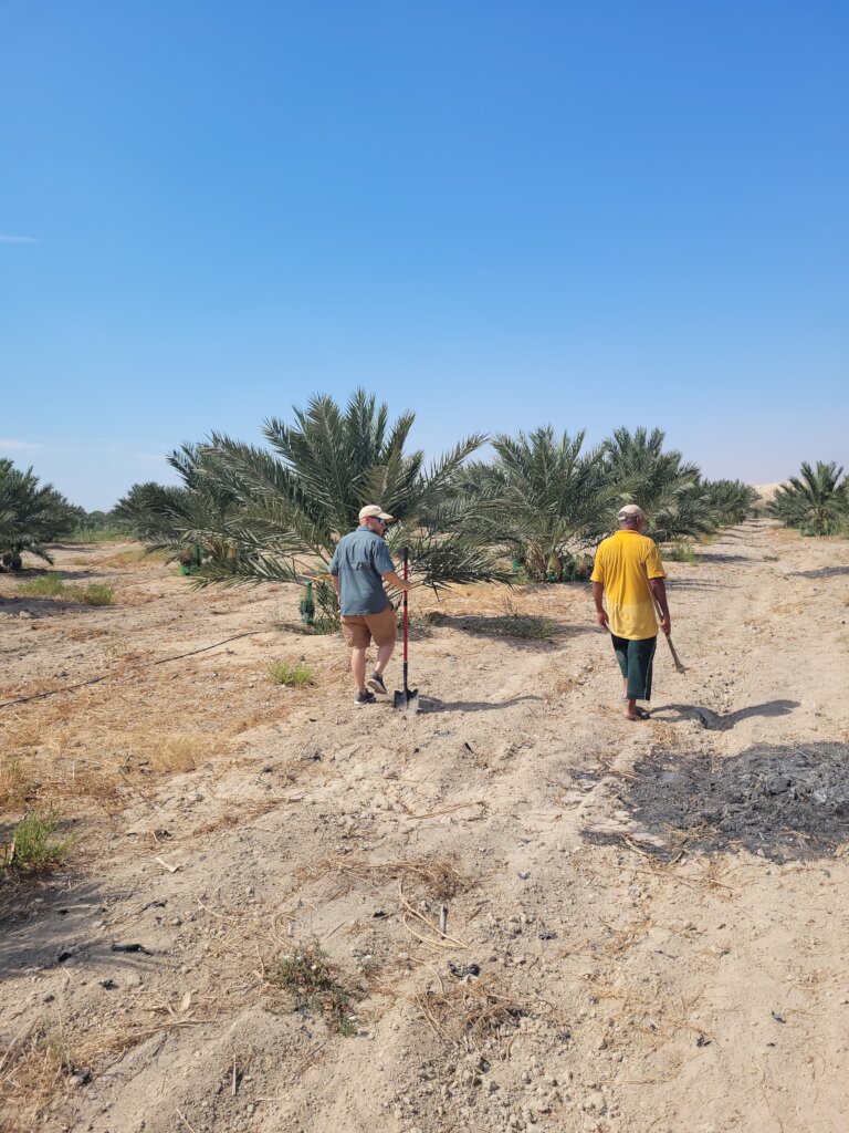 Farming in the Jordan Valley