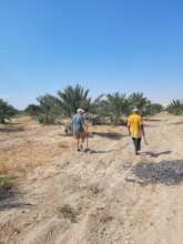 Farming in the Jordan Valley