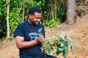 Students developing love for nature