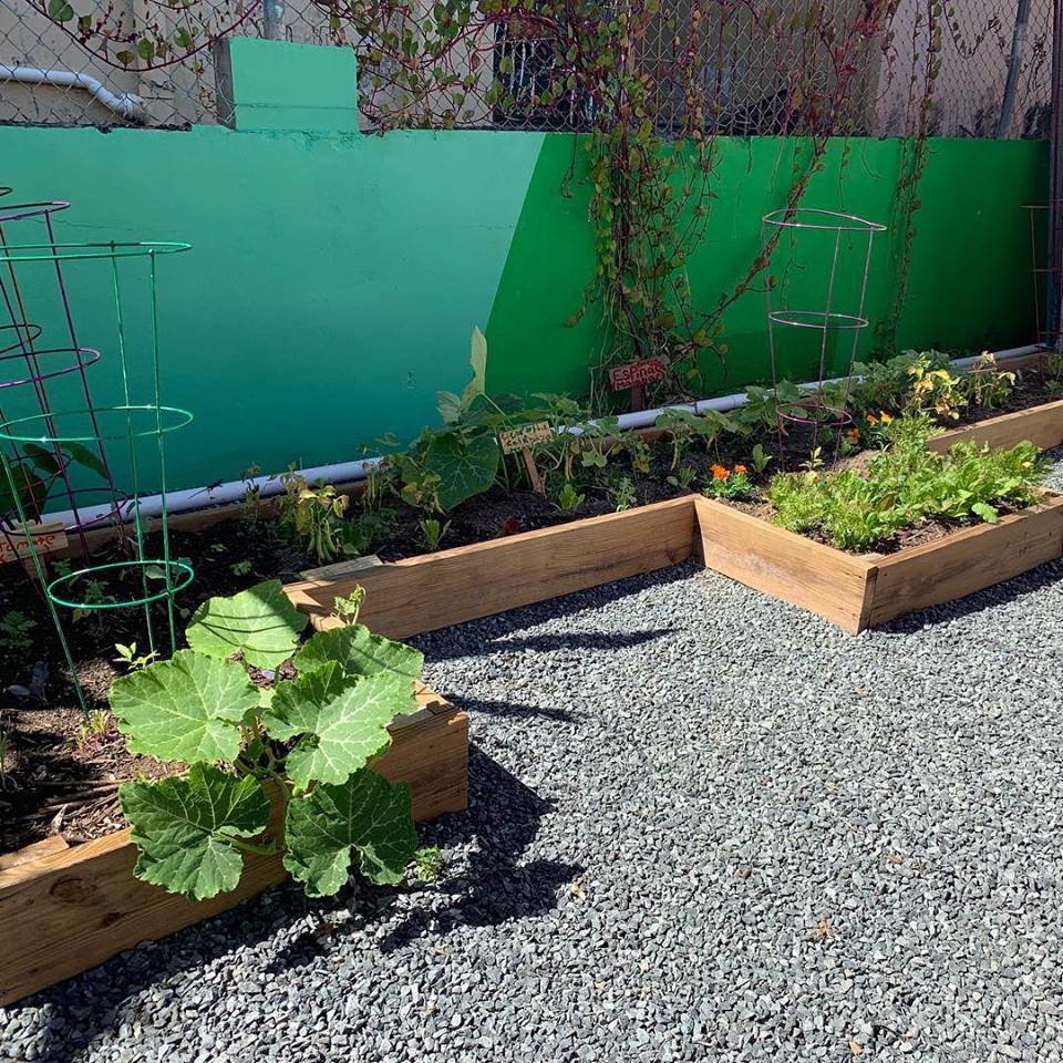 Nuestra Escuela's Urban Garden