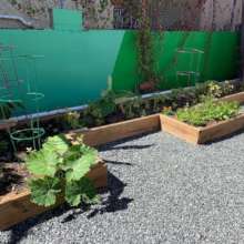 Nuestra Escuela's Urban Garden