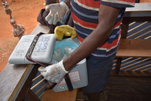 A Community Health Worker with polio vaccines