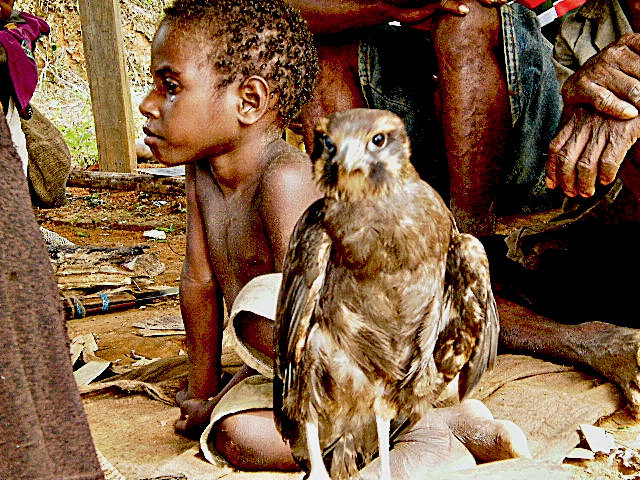 A boy and a bird of prey relax together