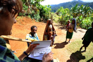 Taking a new census of the Suowi Ankave
