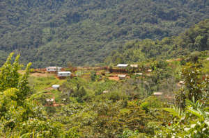 View of Ikundi with Health Center and forest
