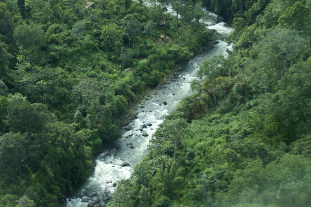 Protect forest & 100 families in Papua New Guinea