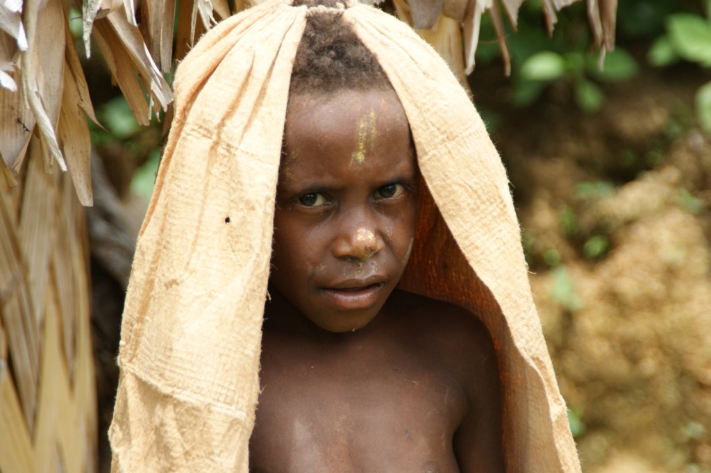 Protect forest & 100 families in Papua New Guinea