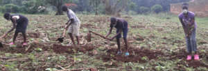 Students help out on the school farm