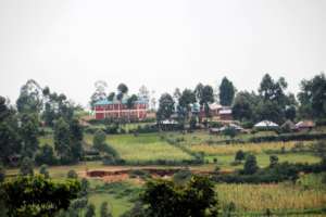 The School