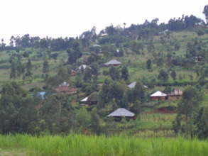 Neighborhood