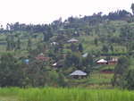 Our neighborhood