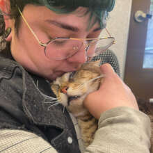 Coolie snuggles with his new person.