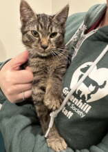 Butters came to Greenhill in need of medical care
