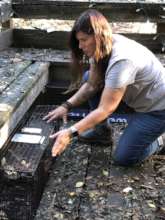A humane trap is positioned for rescue operations.