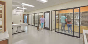 Veterinary Medical Hub