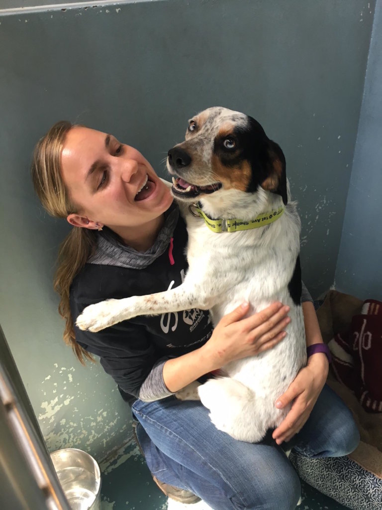 Save the Lives of Homeless Animals in Oregon GlobalGiving