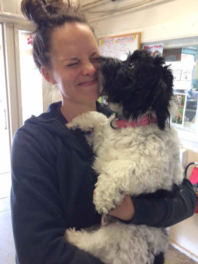 Save the Lives of Homeless Animals in Oregon GlobalGiving