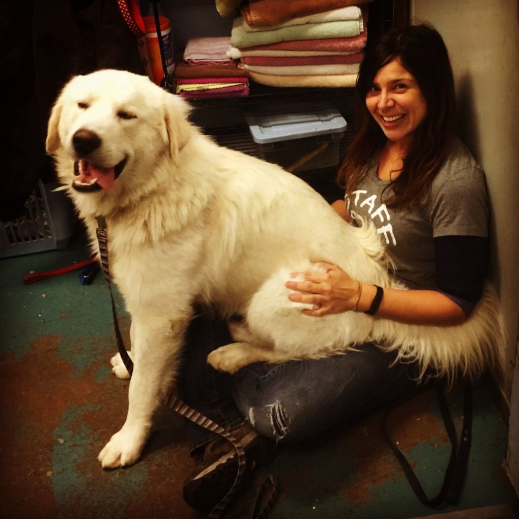 Save the Lives of Homeless Animals in Oregon