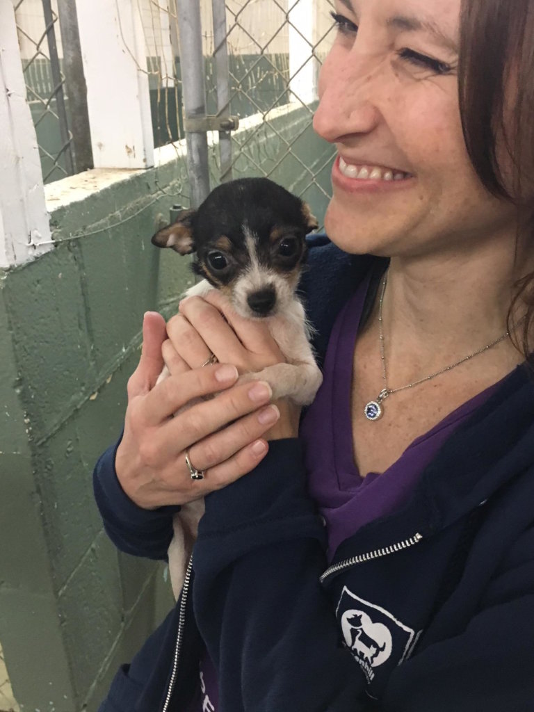 Save the Lives of Homeless Animals in Oregon