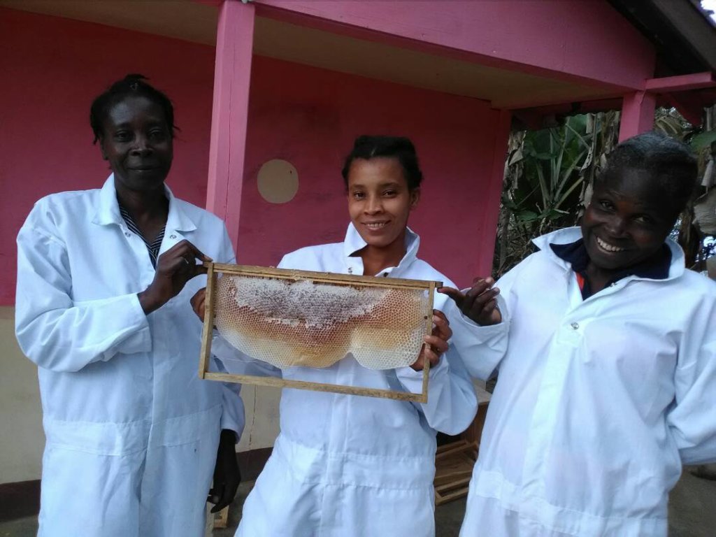 Train 180 Haitian Women in Beekeeping