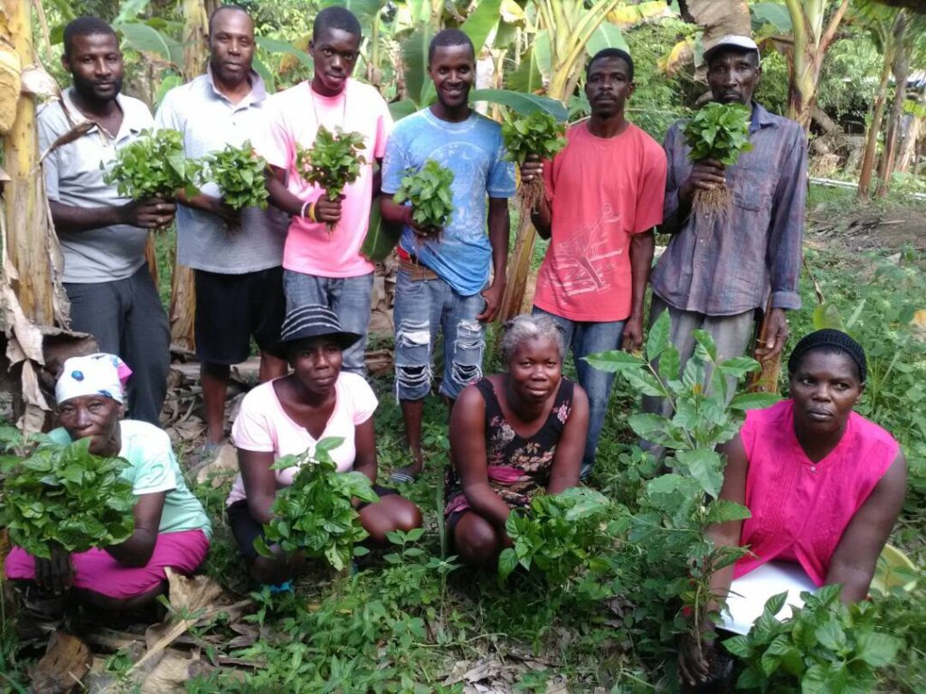 Train 180 Haitian Women in Beekeeping