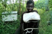 Train 180 Haitian Women in Beekeeping