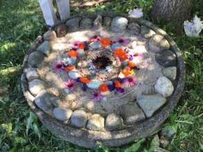 Participant Nature Mosaic