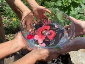 participants made a flower essence together