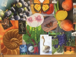 Participant collage