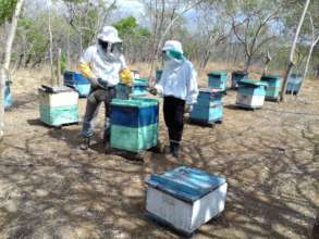 Danny receiving apiculture training
