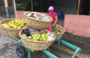 Young Entrepreneurs