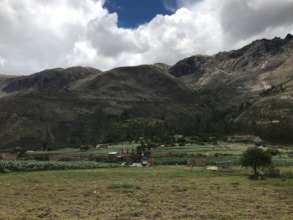 land to purchase