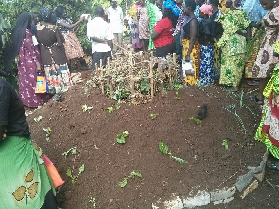 Establish Kitchen gardens for 500 Ugandan families