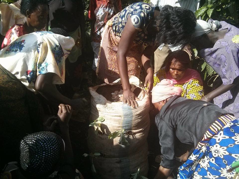 Establish Kitchen gardens for 500 Ugandan families