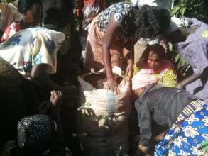 Sack gardens